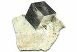 Large, Natural Pyrite Cube In Rock - Navajun, Spain #361769-1